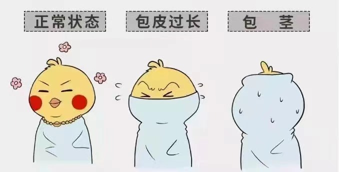 齐齐哈尔包皮包茎mk体‌育（MKsports集团）股份公司